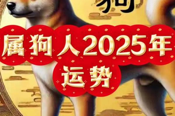 2025年属狗人穿什么颜色的衣服能提升运势? 2025年属狗人穿什么颜色的衣服能提升运势?