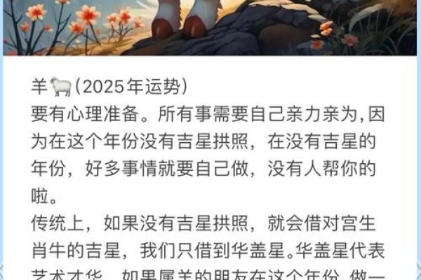 2025年蛇年属狗人的全年运势详解，看看事业和感情运程