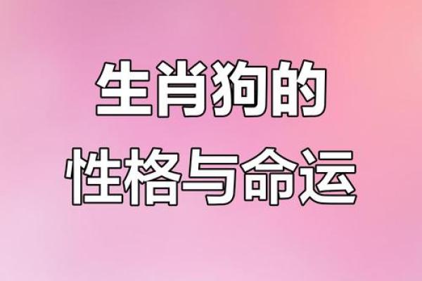 1982年出生的属狗人五行属什么命格运势如何