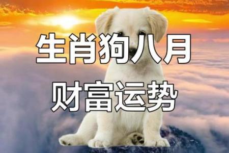 2025年属狗人的最佳财运方向解析，办公桌摆放有何讲究