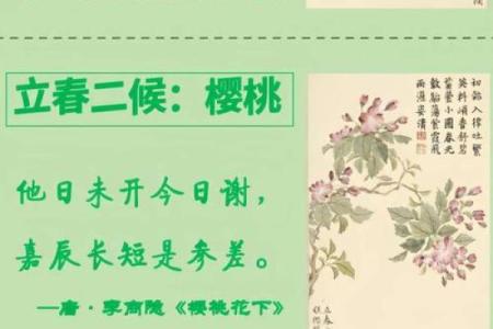 2019年立春具体是哪一天几点几分开始？