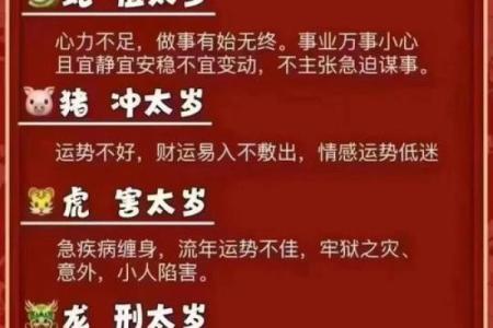 2025年属狗的人财运和事业运如何具体发展