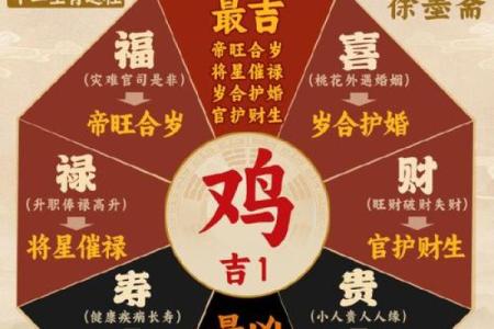 1981年属鸡人2024年全年运势详解及每月运程完整版
