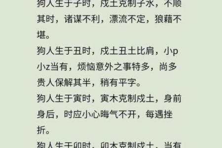 2025年属狗人全年运势详解，事业财运健康感情如何发展？