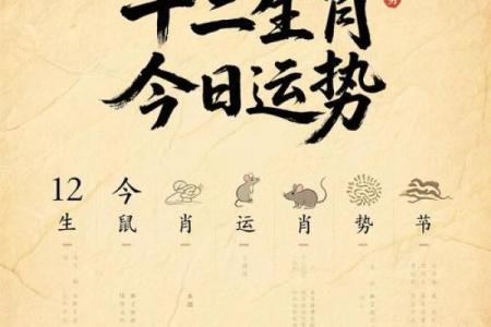 96年男鼠2025年结婚最佳月份(96年鼠2025年结婚好吗)