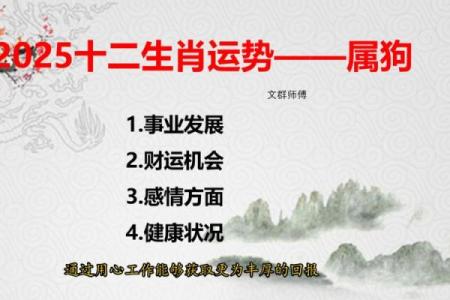1970年属狗男性2025年每月运程预测，如何化解太岁冲击