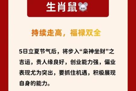 2005年属鸡的人今年学业运势如何，要注意什么