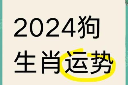 2025年属狗人适合穿什么颜色的衣服提升运势？