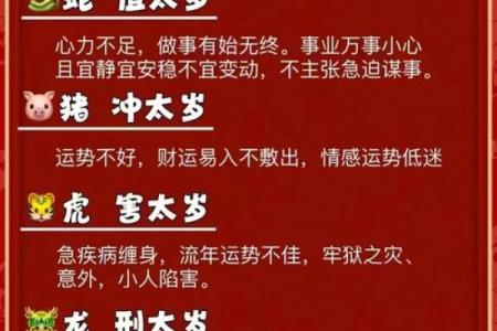 生肖狗2025年每月运程预测，如何化解太岁提升运势指南