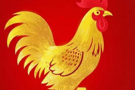 2025年属鸡的人运势如何，不同年龄段的财运和健康要注意什么？