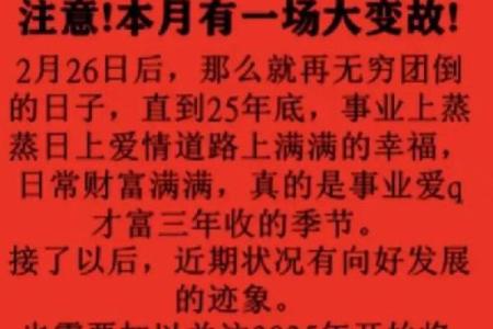 2024年属狗人的财运和事业运如何，需要注意哪些方面才能提升？