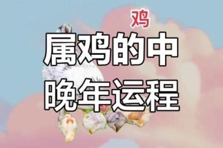属鸡者今日感情运势如何？和伴侣相处需要注意什么？