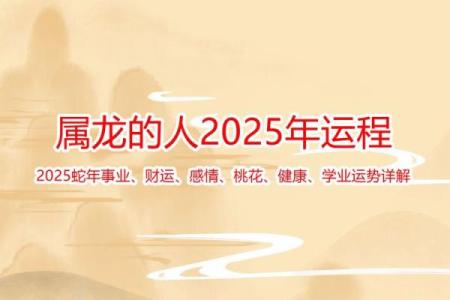 2025年属龙人全年运势详解，事业财运健康感情全面解析