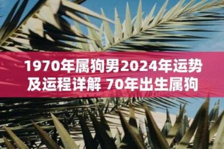 1970年属狗人2025年全年运势详解，健康事业财运感情完整运程分析
