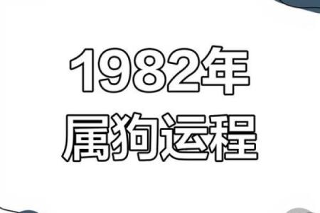 1982年出生属狗者在2025年事业财运健康感情全面运势分析