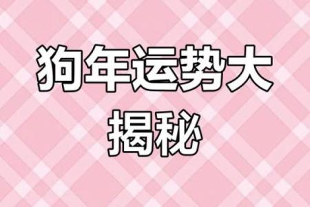 1982年属狗女2025年运势详解：事业财运与健康感情全面解析