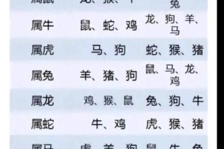81年属鸡的人今年运势如何以及2024年实际年龄计算方式