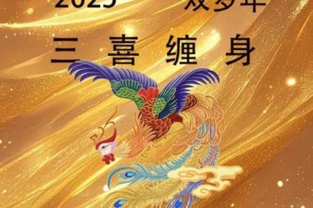 2025年属鸡人运气整体怎么样，需要注意哪些方面？