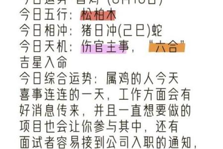 1981年出生的属鸡人是什么五行命格，性格与运势分析