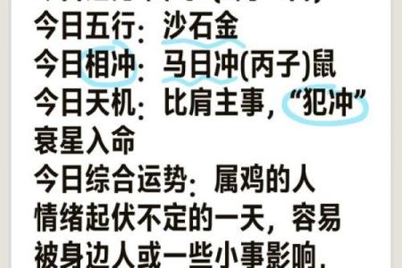 属鸡的人和属鸡的人在一起合作财运怎么样