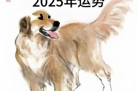1982年属狗的人2025年运势详解及每月运程预测