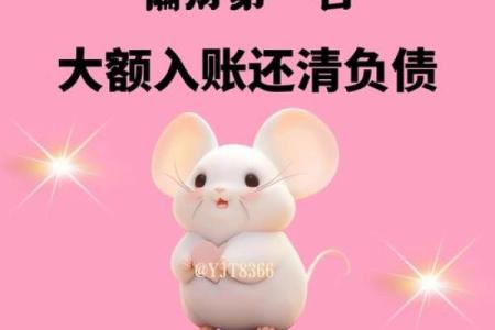 96年属鼠10月结婚吉日(96年10月属鼠的属相婚配表)