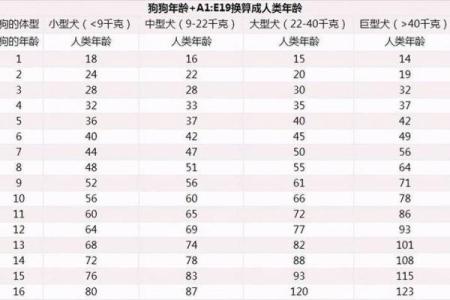 2025年属狗的人今年多少岁，具体年龄如何计算