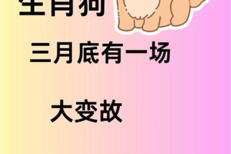 2025年属狗人的感情婚姻运势详解，是否会遇到正缘或面临挑战