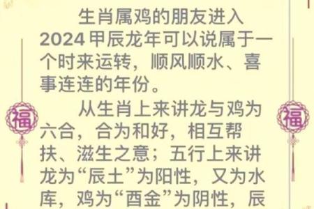 81年出生的生肖鸡在2024年龙年的具体年龄是多少？