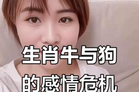 属牛和属狗的夫妻结局如何？属相配对婚姻运势解析