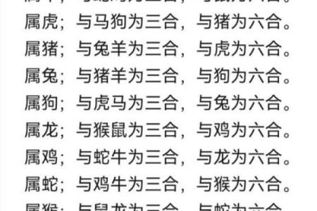 2025年属狗人财运如何？正财偏财投资运势全面解析