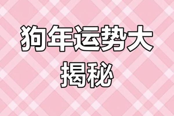 属狗今日财运如何有没有意外之财或者偏门收入 属狗今日财运如何有没有意外之财或者偏门收入