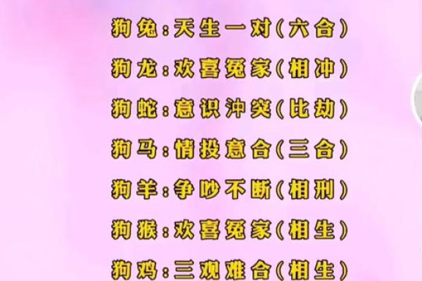 2006年出生的属狗男孩婚姻感情运势如何发展