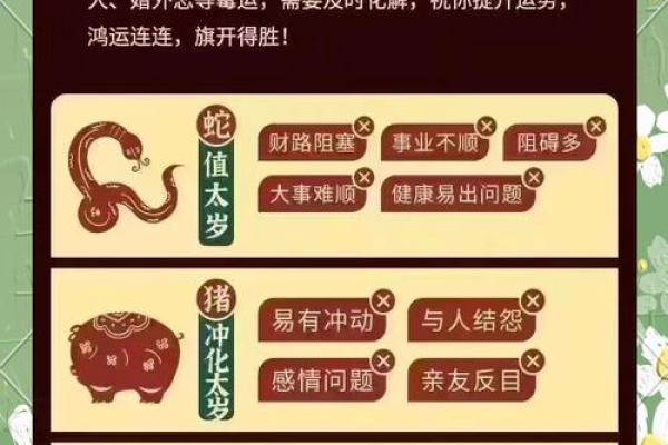 属狗的人在2025年蛇年事业财运和感情健康运势如何破解太岁影响