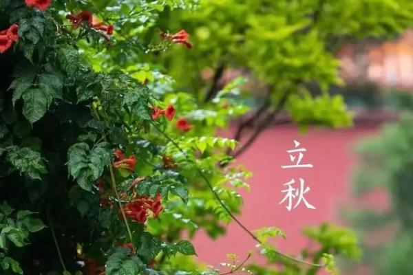 2023年早立秋后天气会立刻变凉快吗，大概能持续多少天？