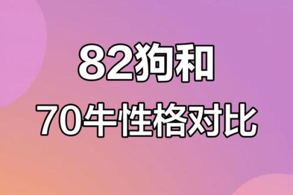 属狗男与属牛女结婚后的婚姻生活如何,需要注意哪些方面的问题? 属狗男与属牛女结婚后的婚姻生活如何,需要注意哪些方面的问题?