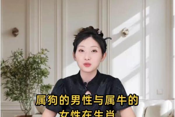 属狗男与属牛女结婚后的婚姻生活如何,需要注意哪些方面的问题? 属狗男与属牛女结婚后的婚姻生活如何,需要注意哪些方面的问题?