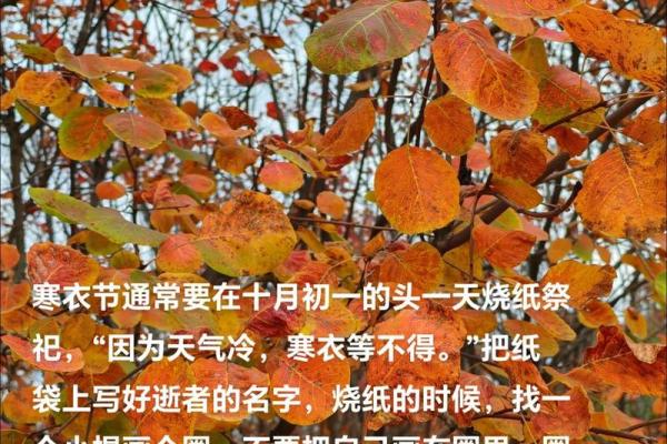 2022年送寒衣节具体是哪一天，农历十月初一吗？