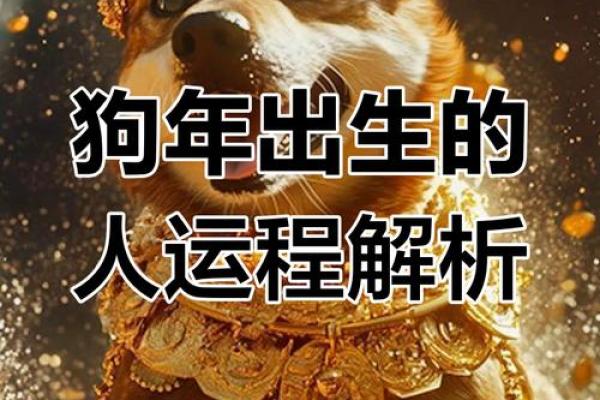 2025年属狗人的全年运势详解，看看事业财运和健康有何变化