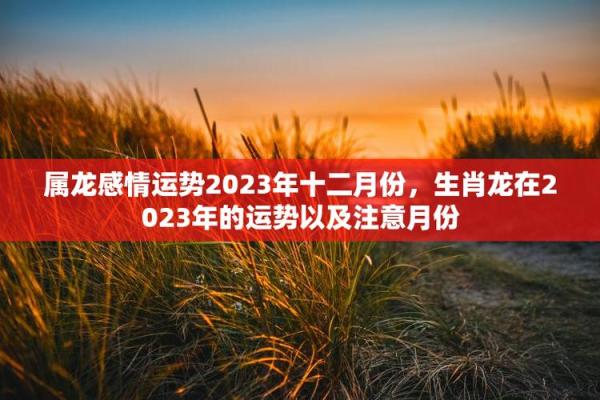 属龙者今日感情运势怎么样和伴侣相处要注意什么