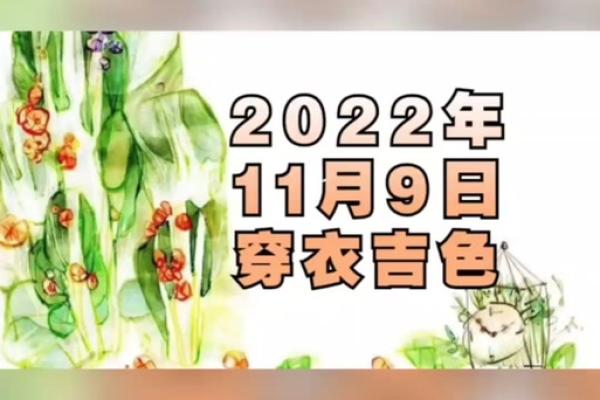 2021年11月9日五行属什么适合穿什么颜色，详细教程