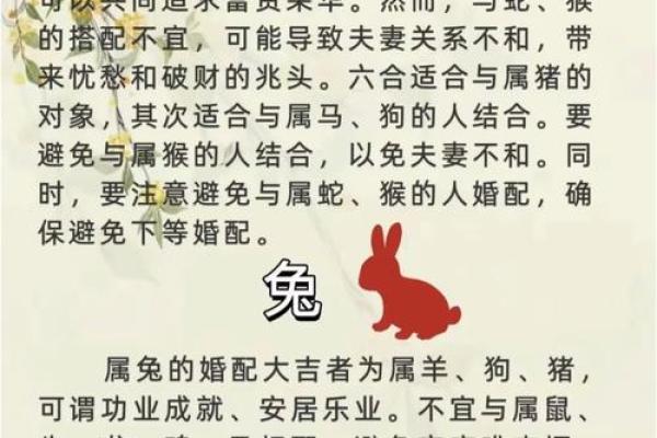 属鸡和属鼠的夫妻组合在婚姻中需要注意哪些问题