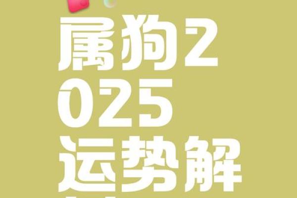 2025年属狗人全年运势详解，事业财运健康感情各方面运势预测
