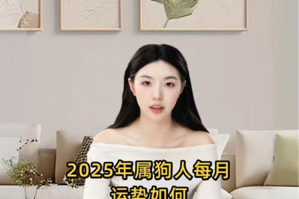 2025年属狗人全年运势详解70年出生事业财运健康如何