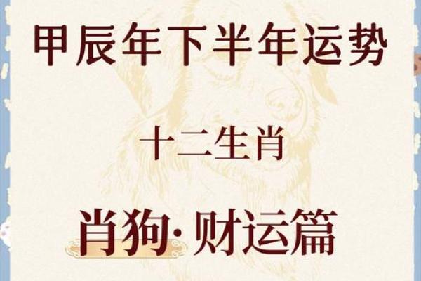 属狗的人今年多大了？2024年最新年龄对照表查询