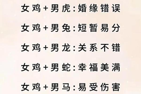 从生肖配对角度分析，鸡男和狗女的婚姻是否会有性格或运势上的冲突？