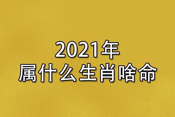 2021年12月30日五行属什么穿什么颜色旺财，全解析