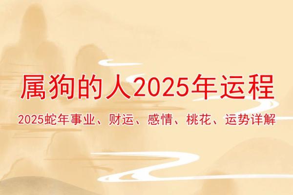 2025年属狗的人运势如何，财运和事业会有突破吗