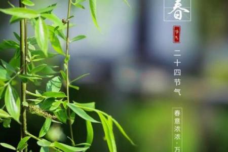2020年立春具体时间是在几点几分开始和结束