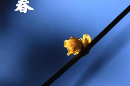 2019年立春具体是哪一天，需要提前准备什么？